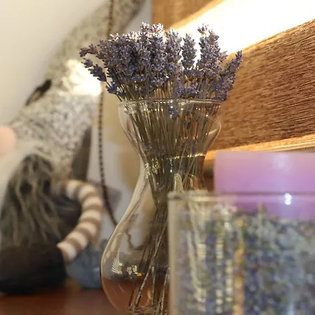 Lejlighed Olaf Tatranská Lomnica